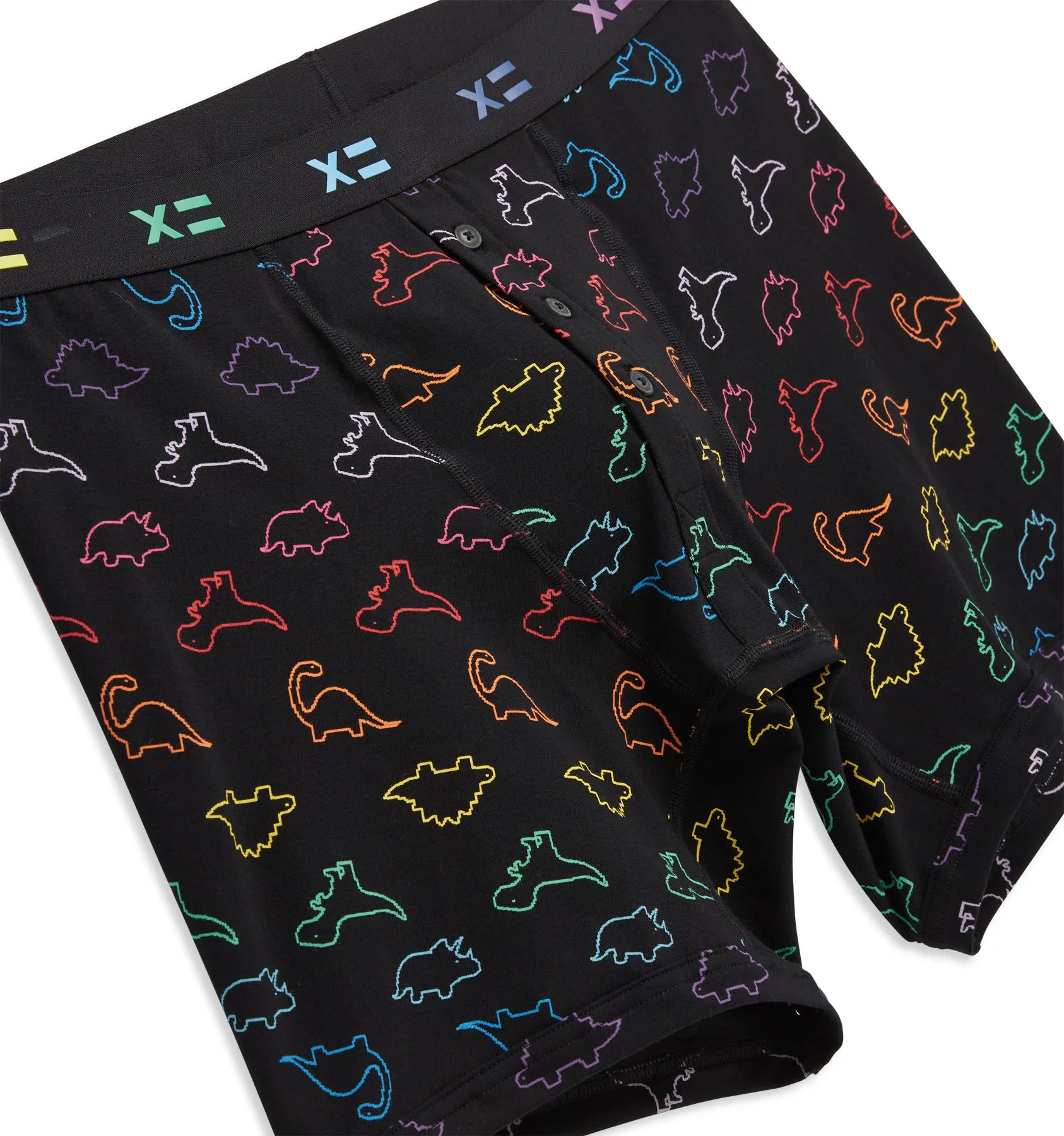 6" Fly Packing Boxer Briefs - Rainbow DinoByte