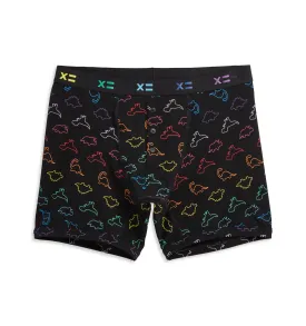 6" Fly Packing Boxer Briefs - Rainbow DinoByte
