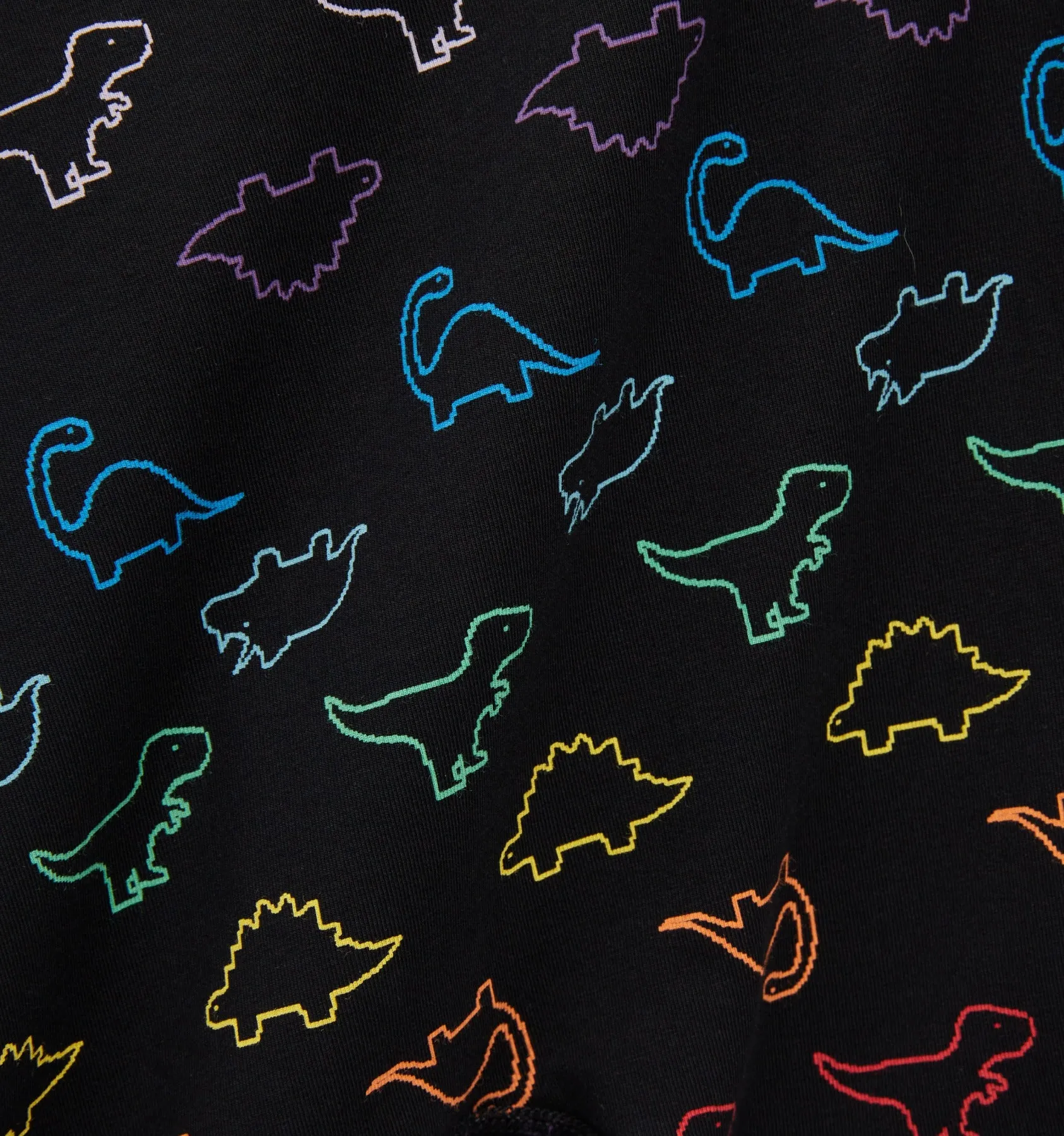 6" Fly Packing Boxer Briefs - Rainbow DinoByte