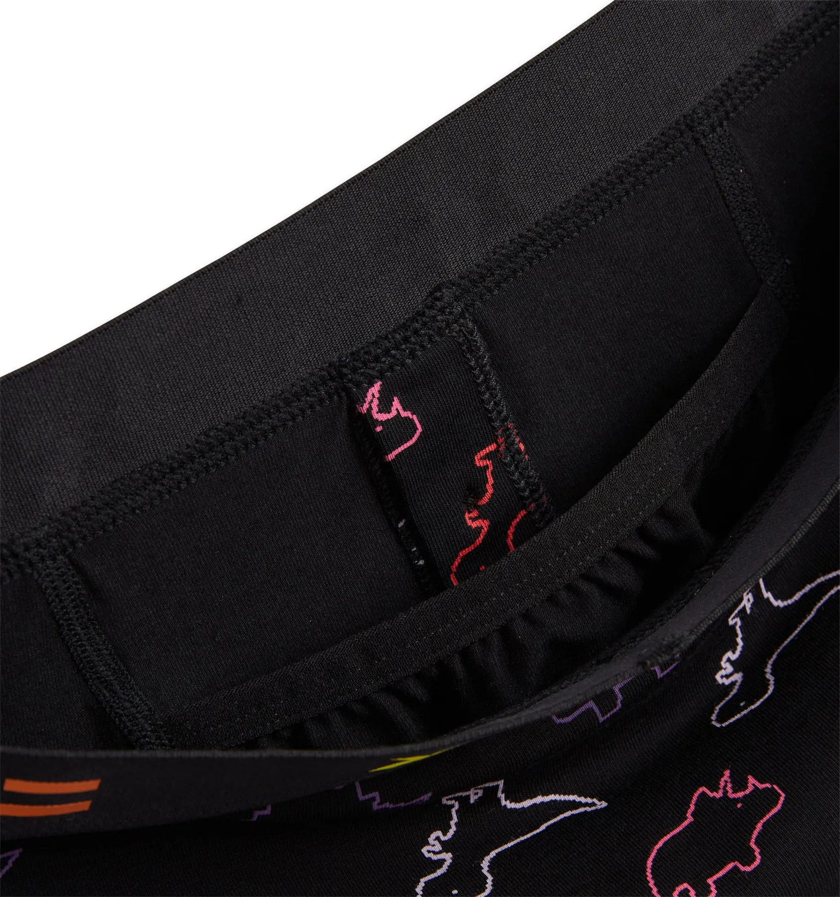 6" Fly Packing Boxer Briefs - Rainbow DinoByte