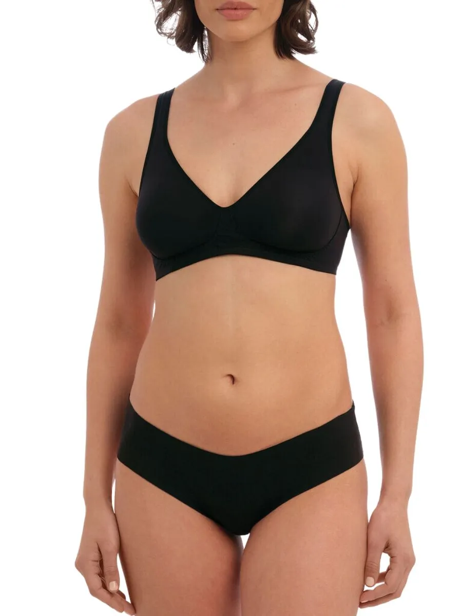 Accord Brief