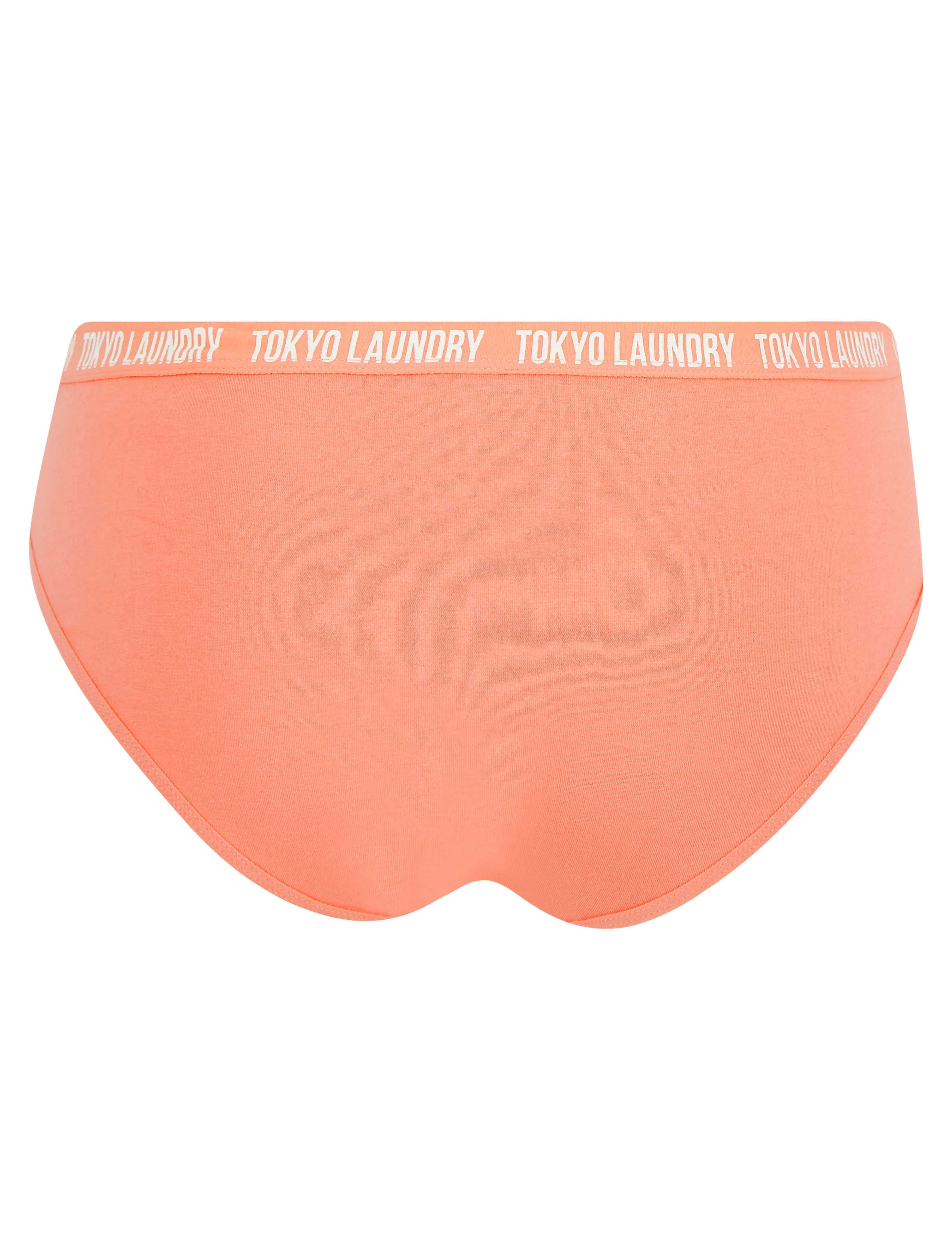 Alice (5 Pack) Cotton Assorted Briefs in Jet Stream / Light Grey Marl / Terracotta / Ombre Blue - Tokyo Laundry