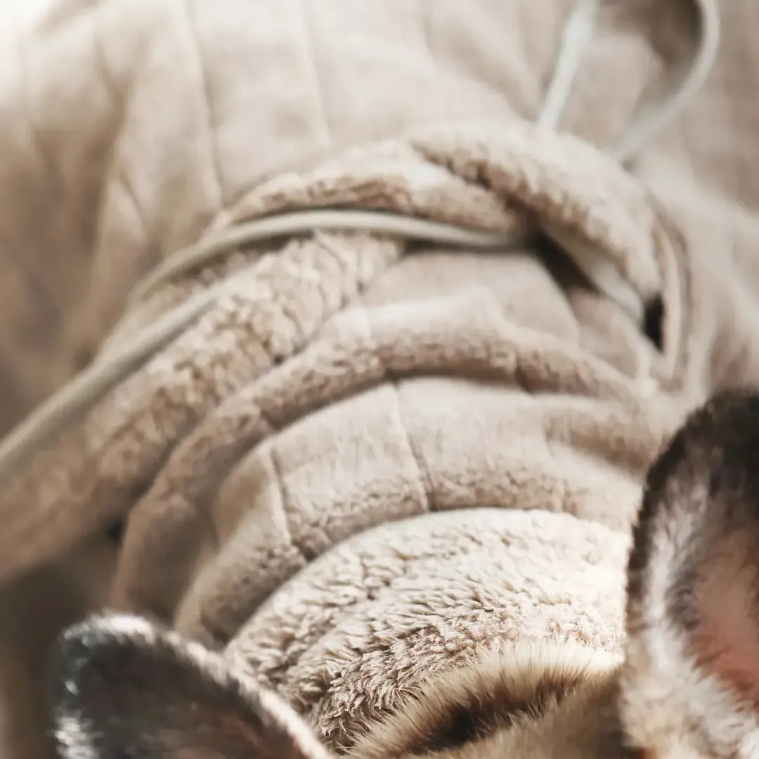 Baby Fleece Bathrobe for Dogs