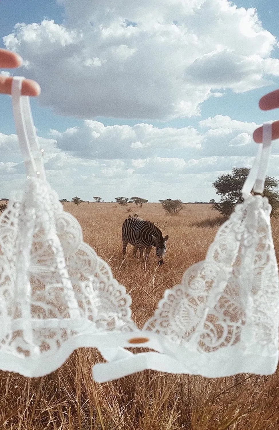 Delilah Triangle Bralette