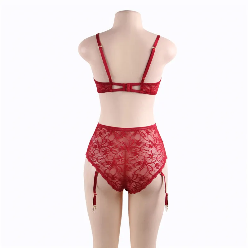 Lace Demi Bra & Garter Panty Set