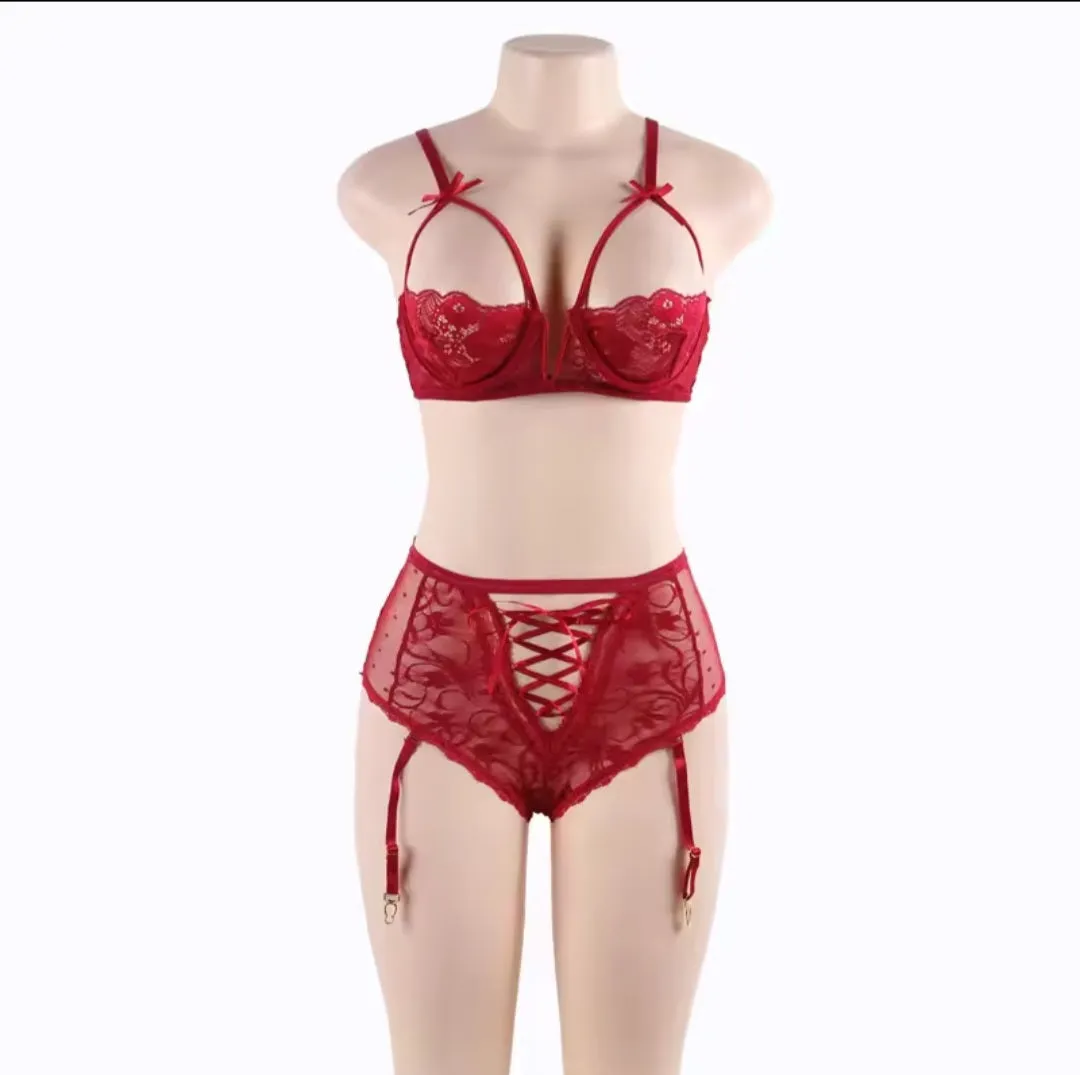 Lace Demi Bra & Garter Panty Set