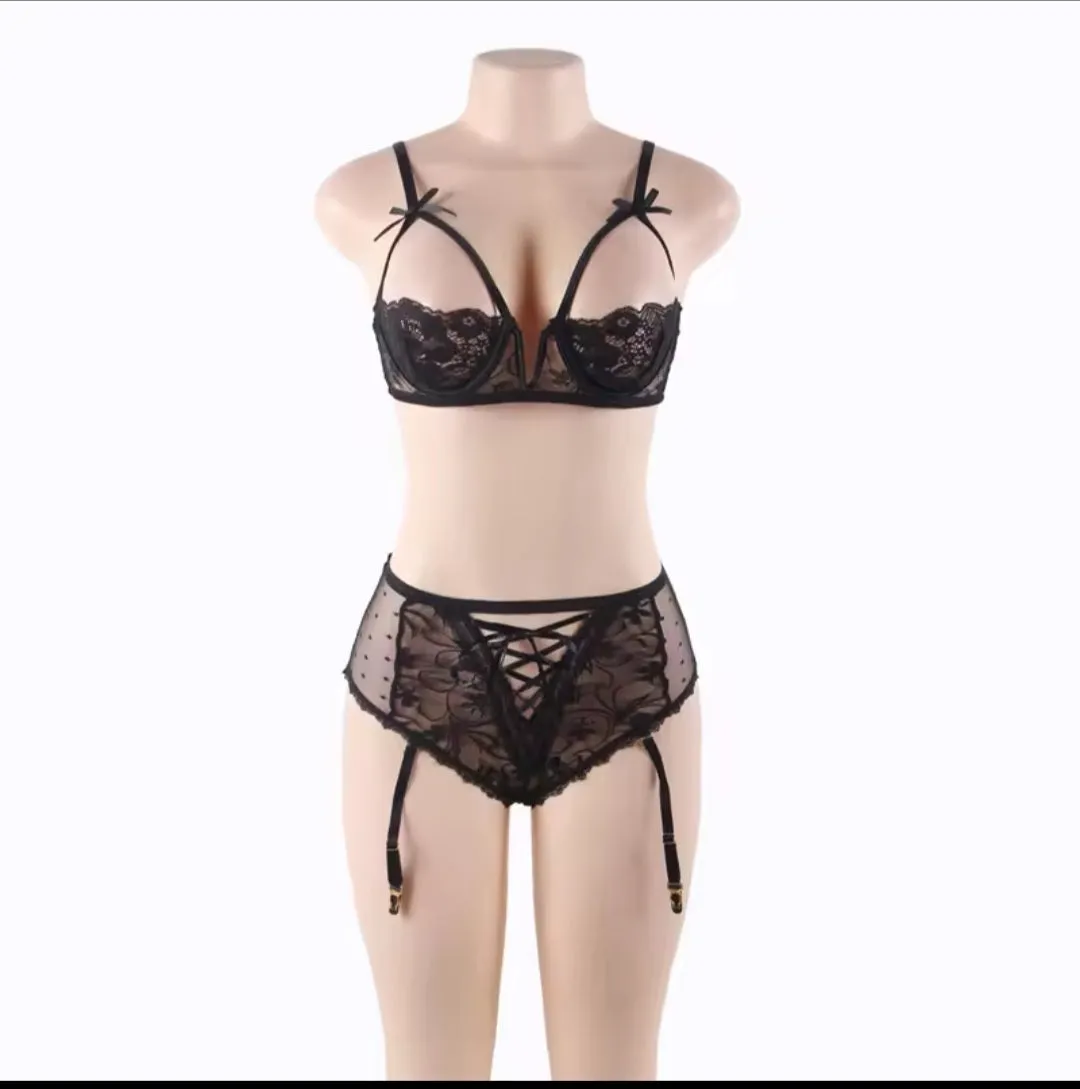 Lace Demi Bra & Garter Panty Set