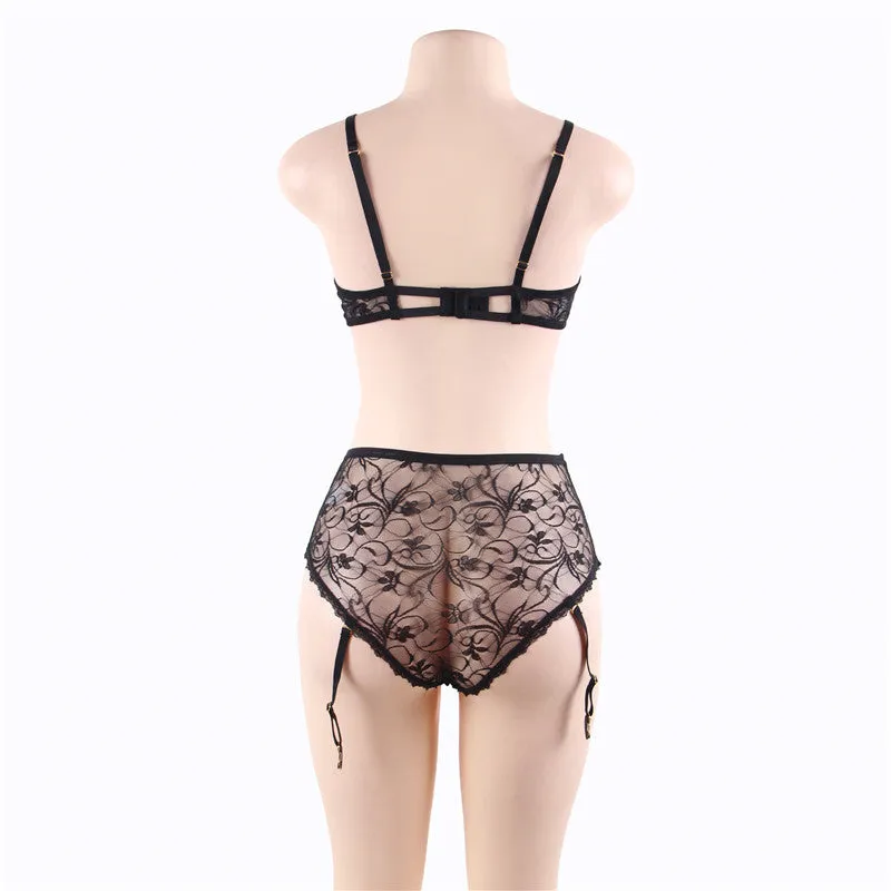 Lace Demi Bra & Garter Panty Set